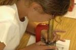 Girl using a microscope.